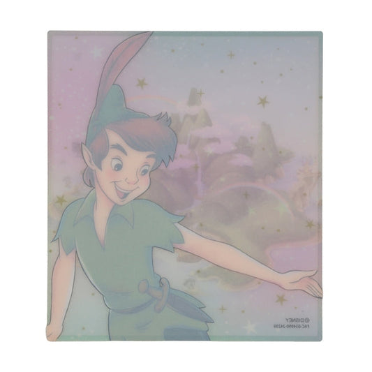 Peter Pan Farbige Karte Japan Disney Store