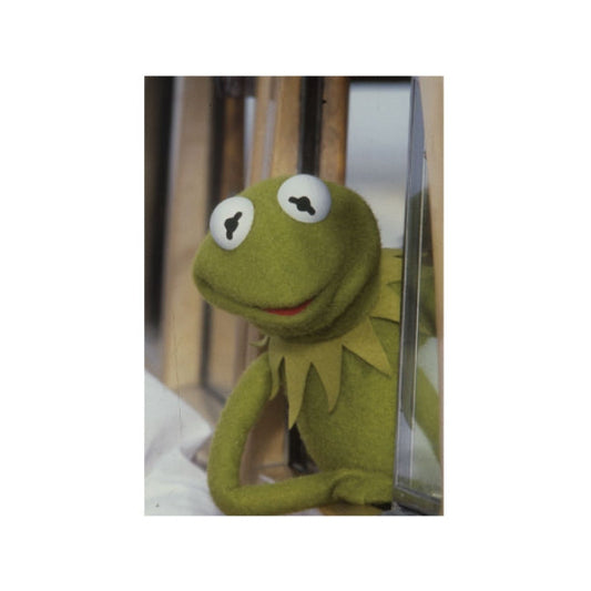 Die Muppets Kermit Postkarte 02 Japan Disney Store