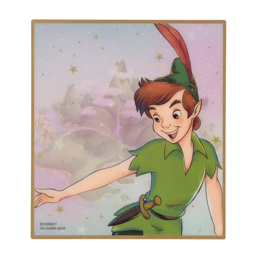 Peter Pan Farbige Karte Japan Disney Store