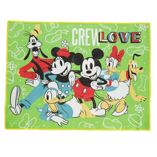 Mickey Mouse & Friends Green Picknickdecke Japan Disney Store