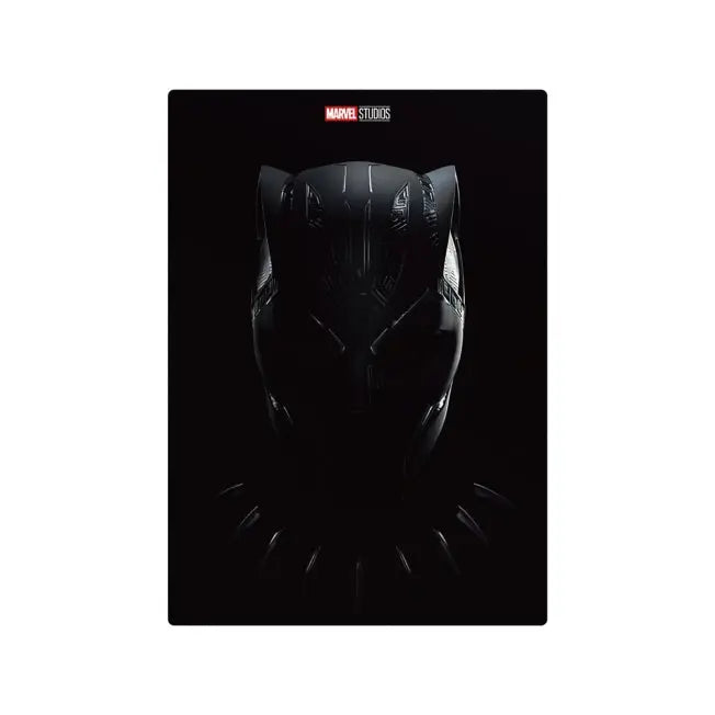 Black Panther/Wakanda Forever Japan Disney Store