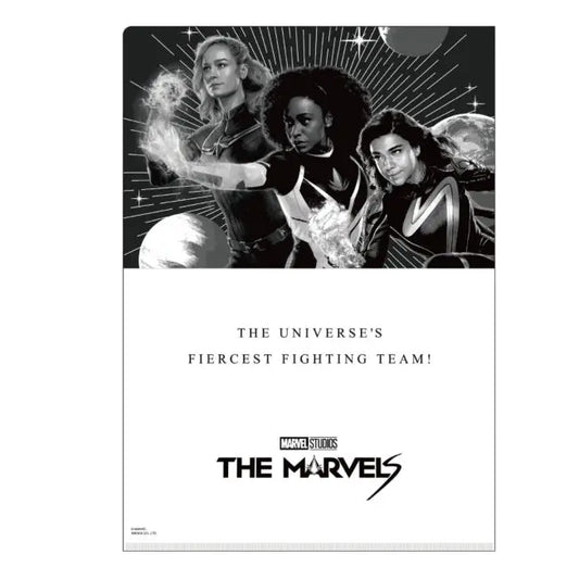 Marvel Clear File Japan Disney Store