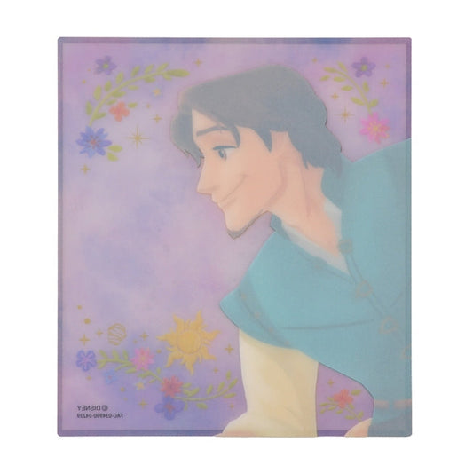 Flynn Rider Clear Portrait Japan Disney Store