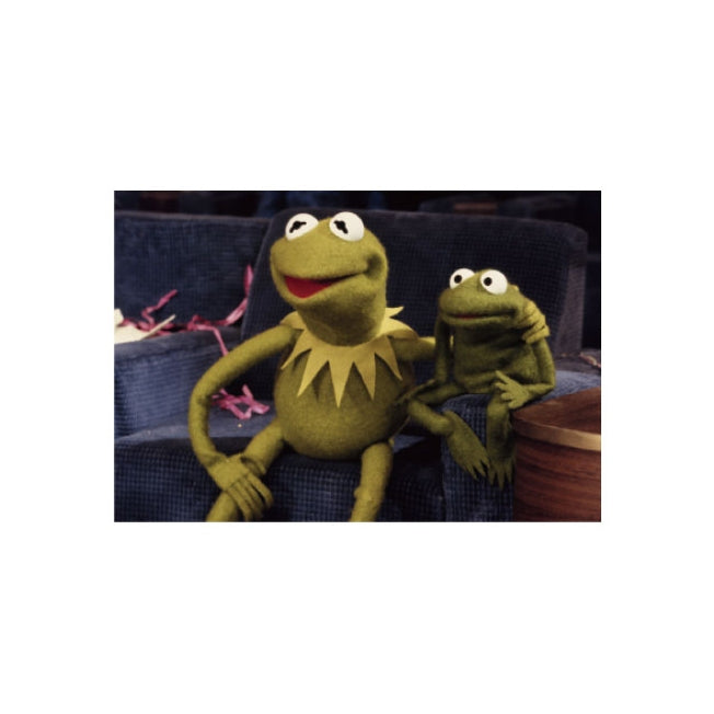 Die Muppets Kermit Postkarte 01 Japan Disney Store
