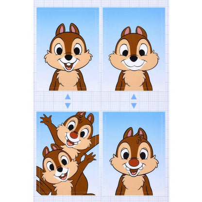 Chip & Dale Fotoaufkleber Sticker Collection Japan Disney Store