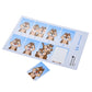 Chip & Dale Fotoaufkleber Sticker Collection Japan Disney Store
