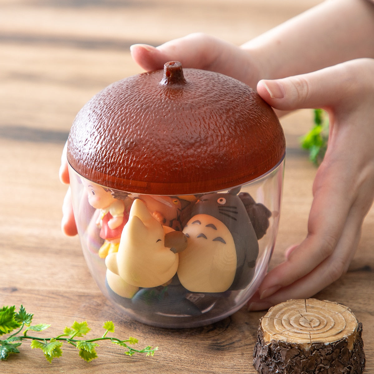 Acorn Dose Mittelbraun Studio Ghibli