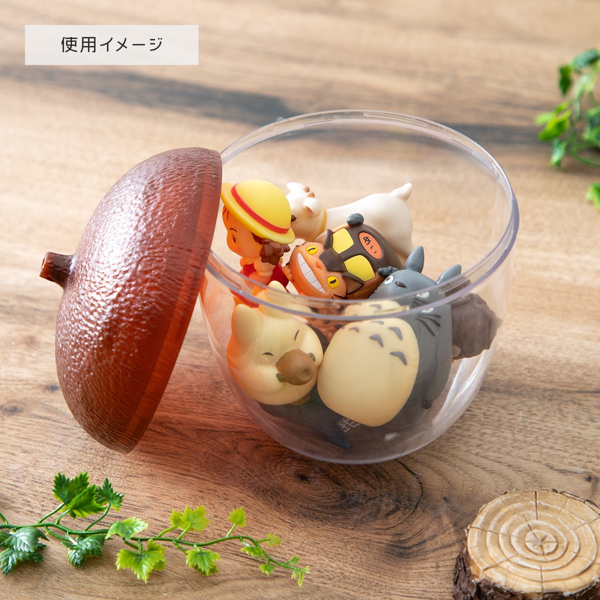 Acorn Dose Mittelbraun Studio Ghibli