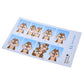 Chip & Dale Fotoaufkleber Sticker Collection Japan Disney Store