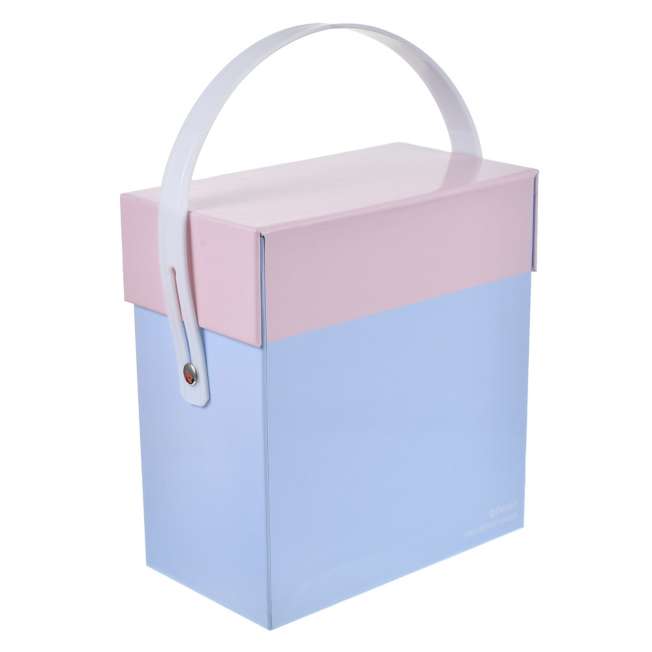 Minnie Wäscheball-Etui Minnies Waschtag Japan Disney Store