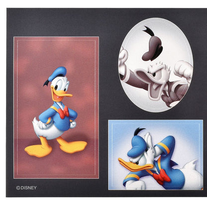 Donald Duck Sticker Collection – Photo Booth Stickers in Retro Photo Studio Look
