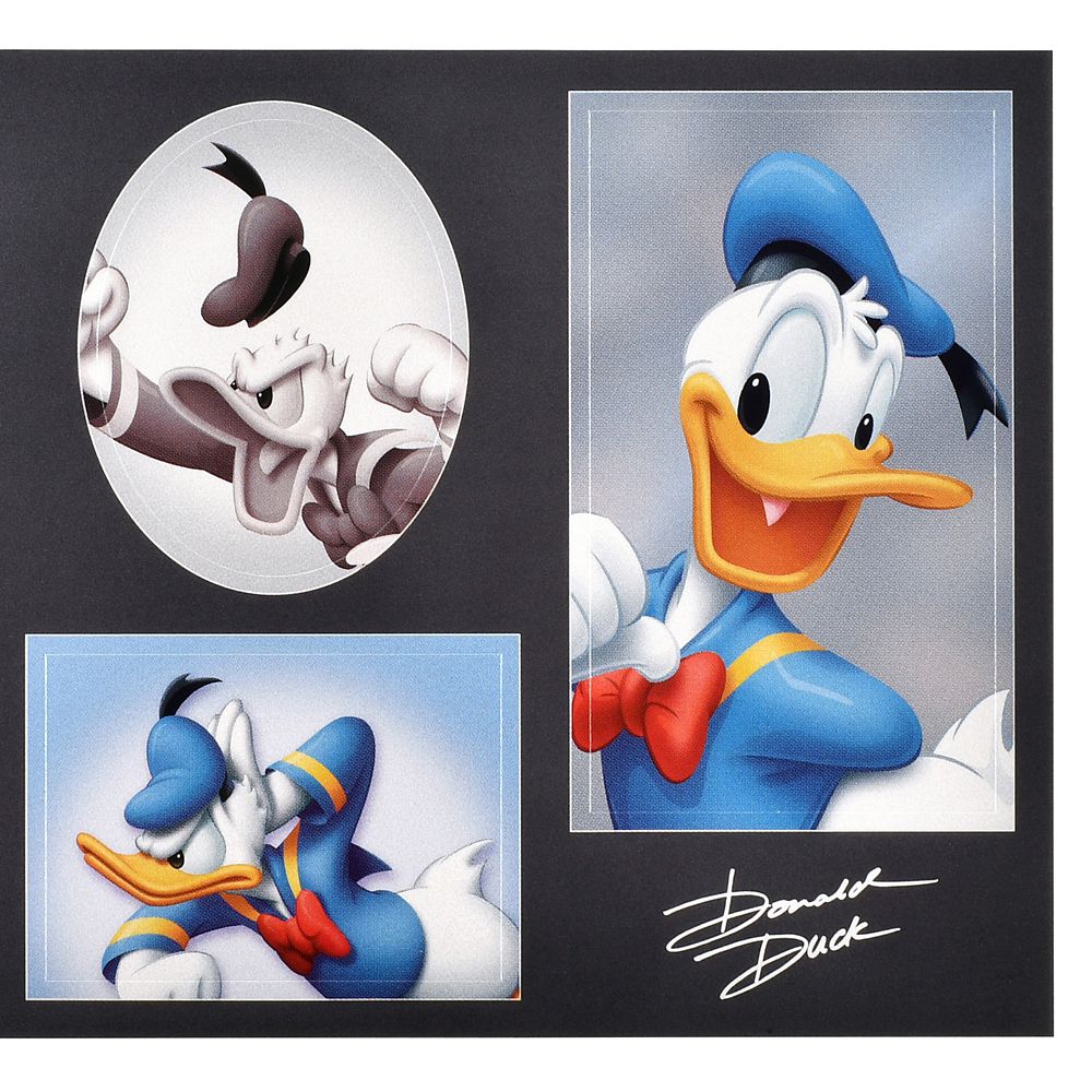 Donald Duck Sticker Collection – Photo Booth Stickers in Retro Photo Studio Look