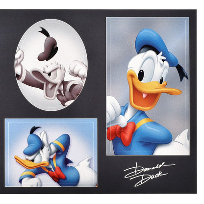 Donald Duck Sticker Collection – Photo Booth Stickers in Retro Photo Studio Look