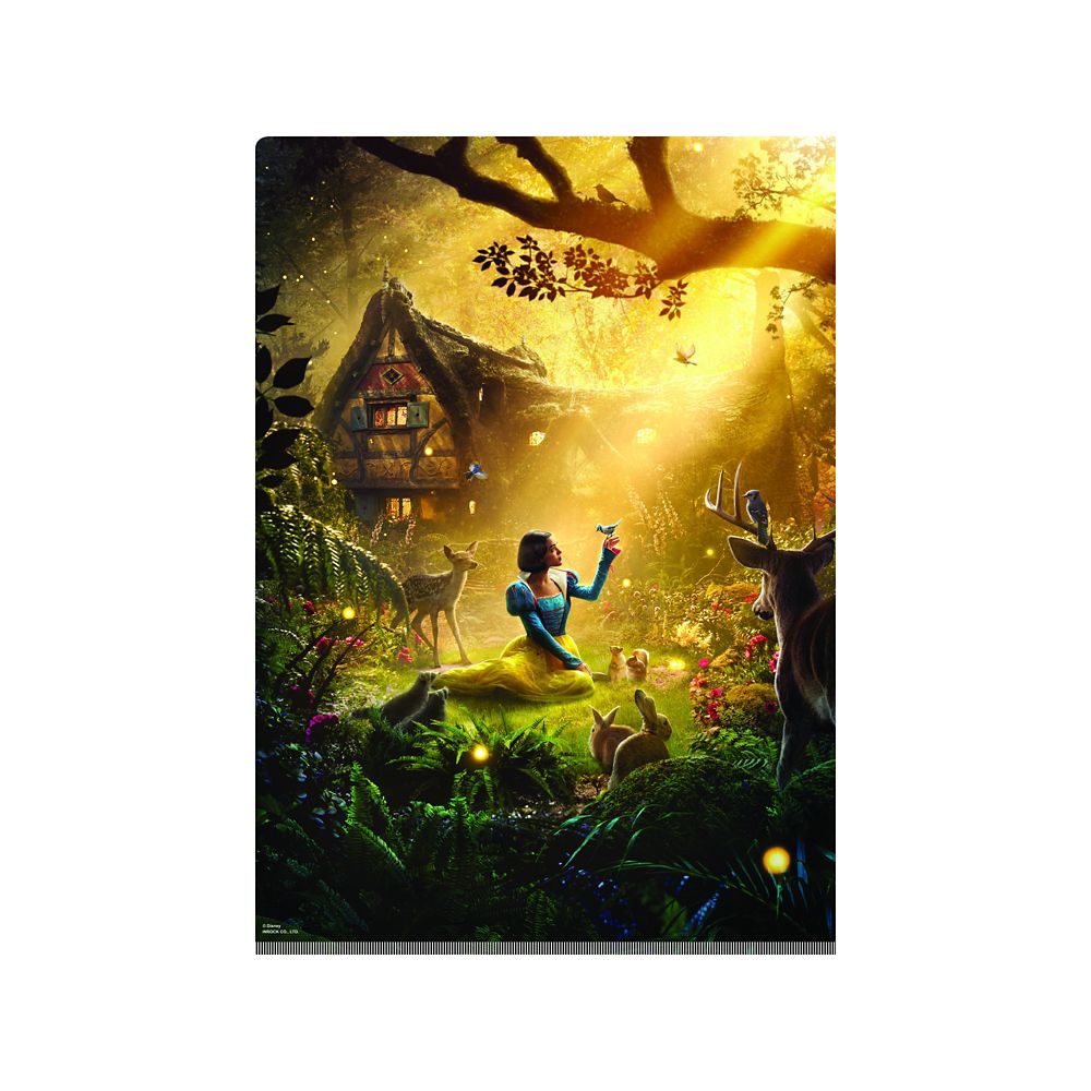 Snow White Double Pocket Clear File A4 – Disney Document Folder