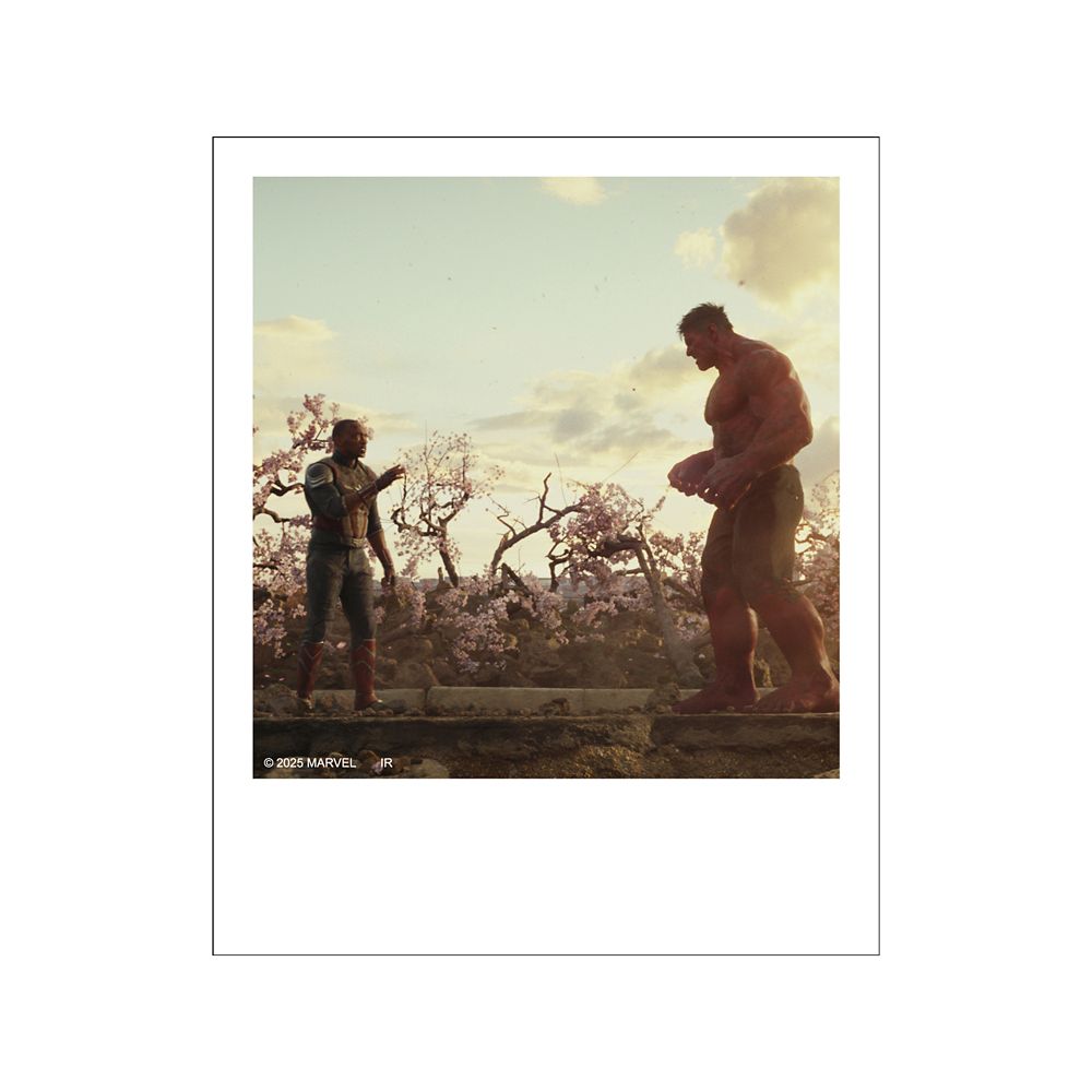 Captain America: Brave New World – Polaroid‑Style Bromid-Kollektion (Zufall, 1 von 12 Motiven)