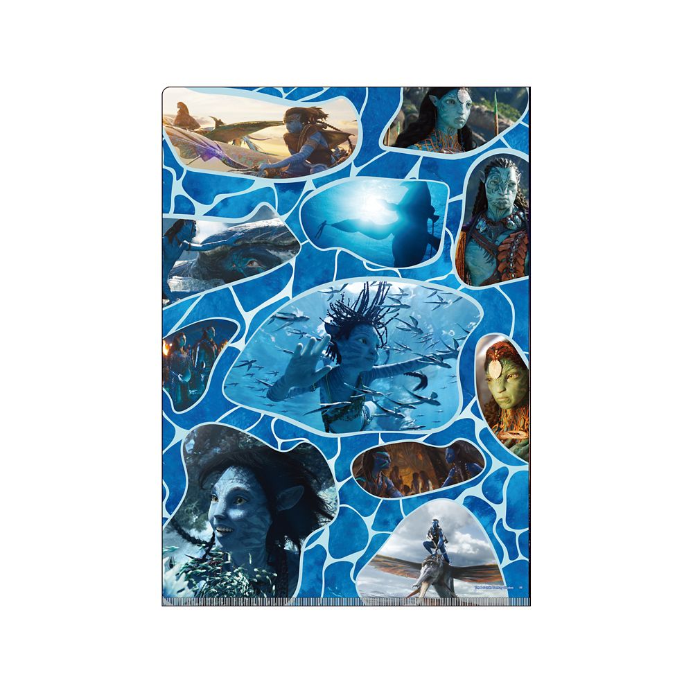 Avatar Doppel-Taschen Clear File A4 – Avatar W-Pocket Klarsichthülle