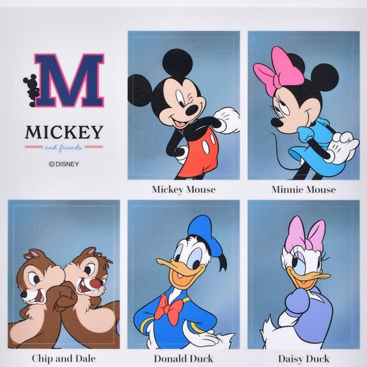 Mickey & Friends Aufkleber-Sticker Sammlung