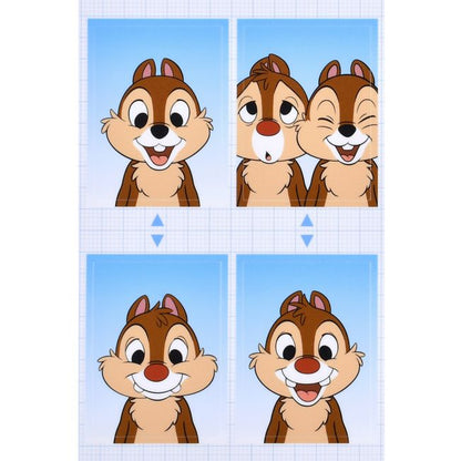 Chip & Dale Fotoaufkleber Sticker Collection Japan Disney Store