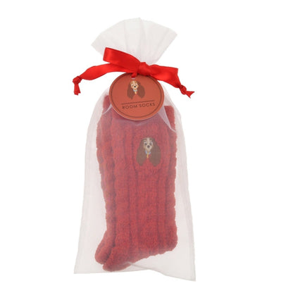 Susi Room Red 23-25 Socken Japan Disney Store