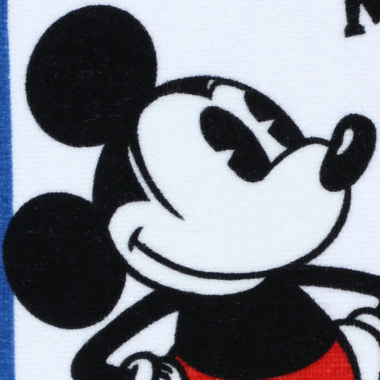 Mickey Mini Handtuch 70er Jahre Retro