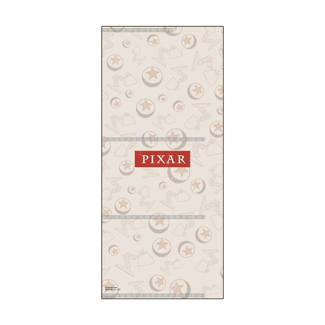 Inhaber eines PIXAR-Tickets Japan Disney Store