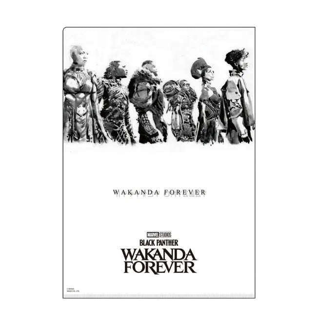 Black Panther/Wakanda Forever Klarsichthülle Japan Disney Store