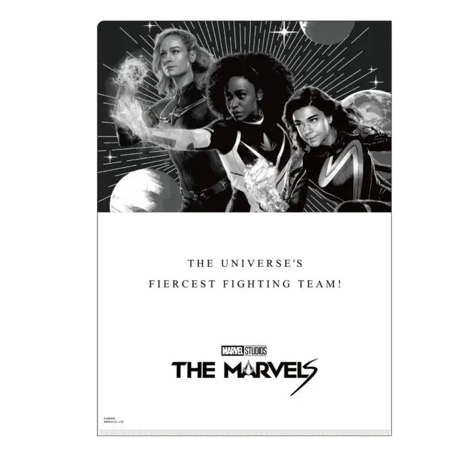 Marvel Clear File Japan Disney Store