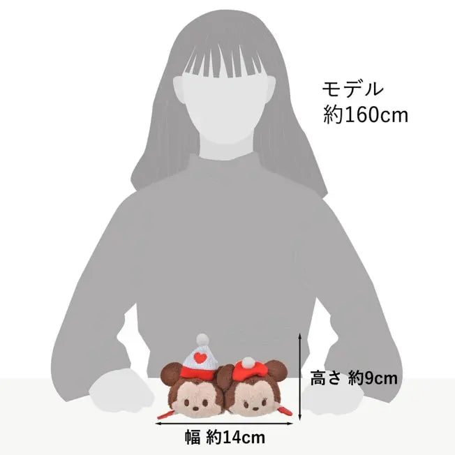 Tsum Tsum Mickey & Minnie Mini (S) Disney Valentine Japan Disney Store