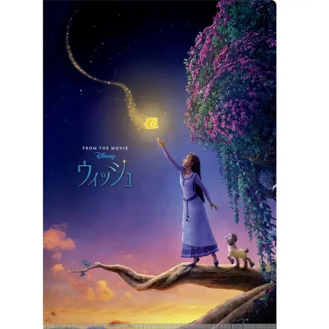 "Wish" W-Pocket Klarsichthülle Japan Disney Store