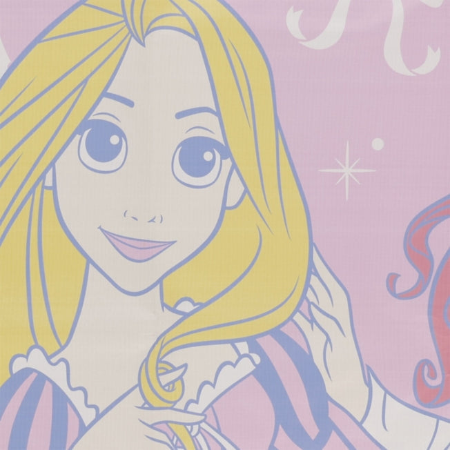 Prinzessin Picknickdecke Japan Disney Store