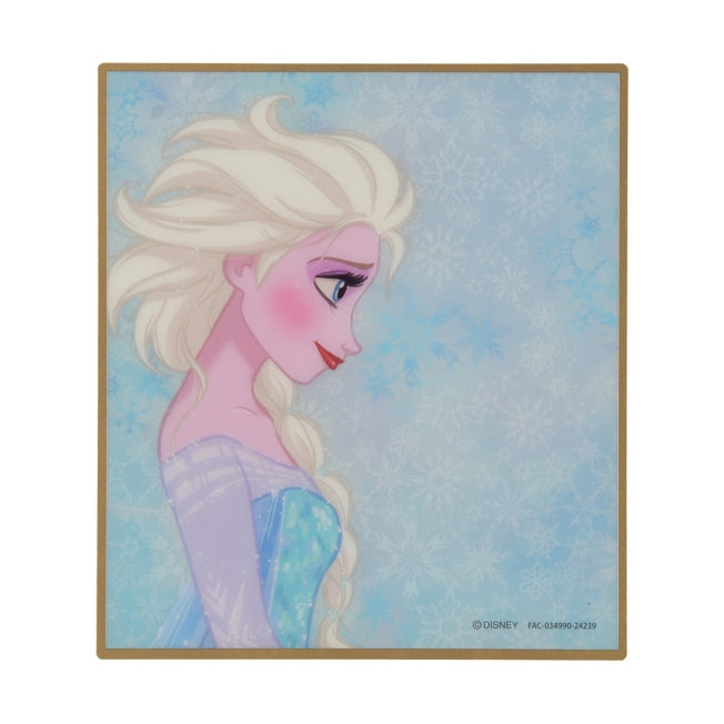 Elsa Clear Portrait Japan Disney Store