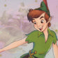Peter Pan Farbige Karte Japan Disney Store