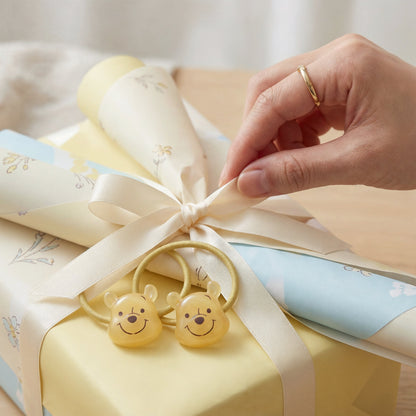 Winnie the Pooh Haargummi Set