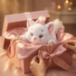 Marie die elegante Katze im Plüsch-Stil