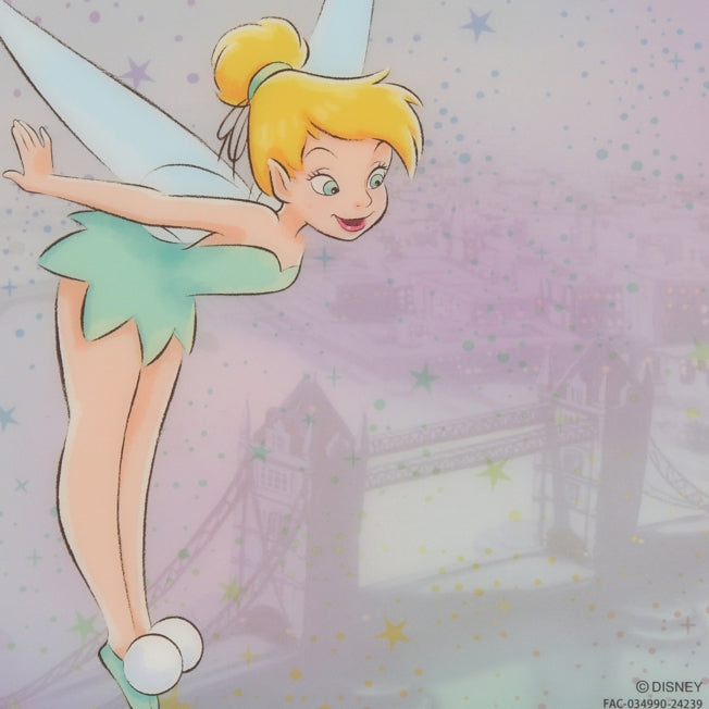 Tinkerbell Transparentes Karte Japan Disney Store