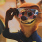 Nick Wilde Klare Farbige Karte  Sonnenbrille Japan Disney Store