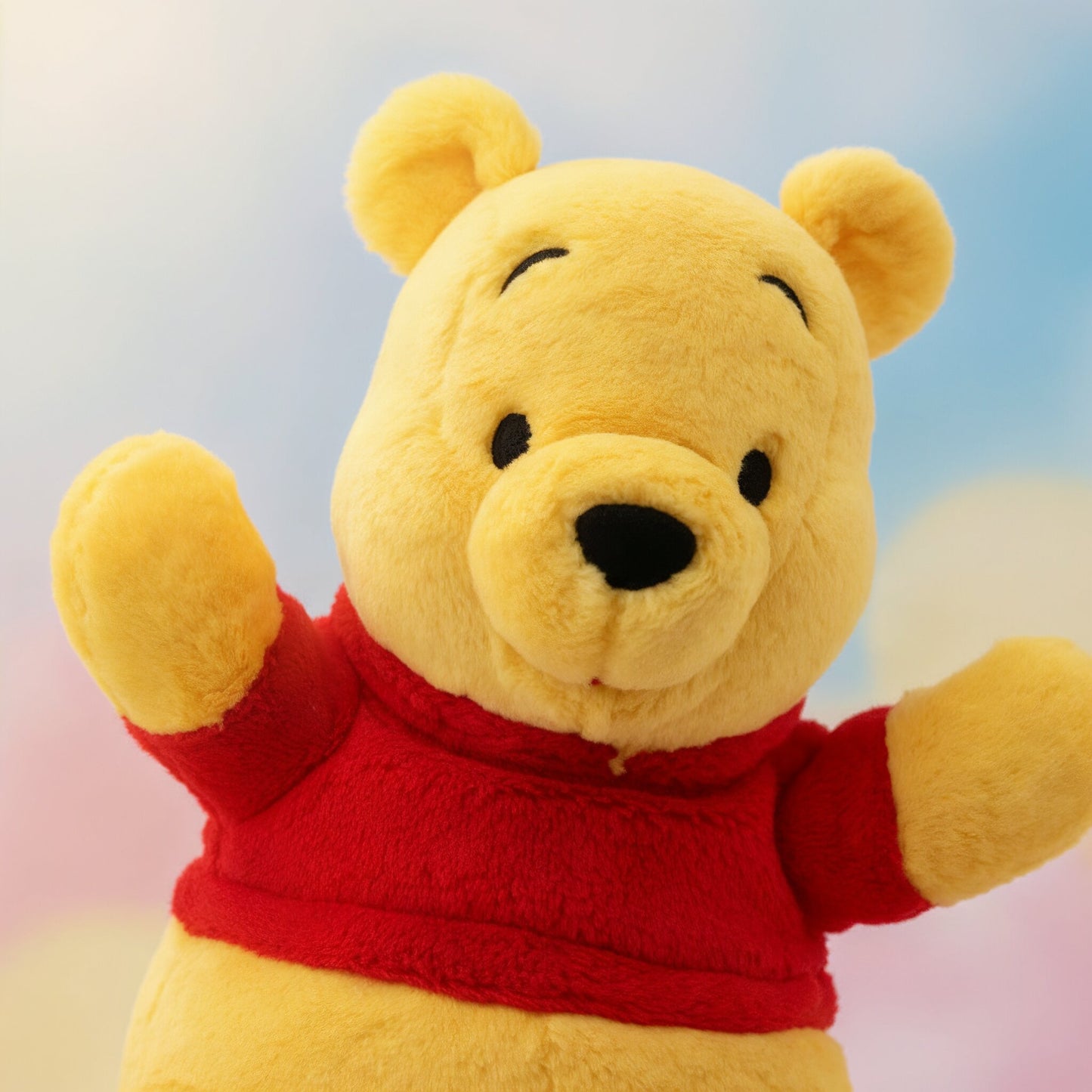 Hand puppet Pooh Tokyo Resort