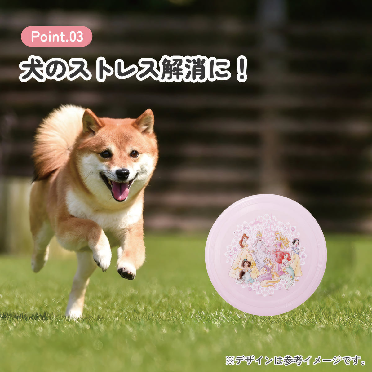 Prinzessinnen Frisbee – Produktbild